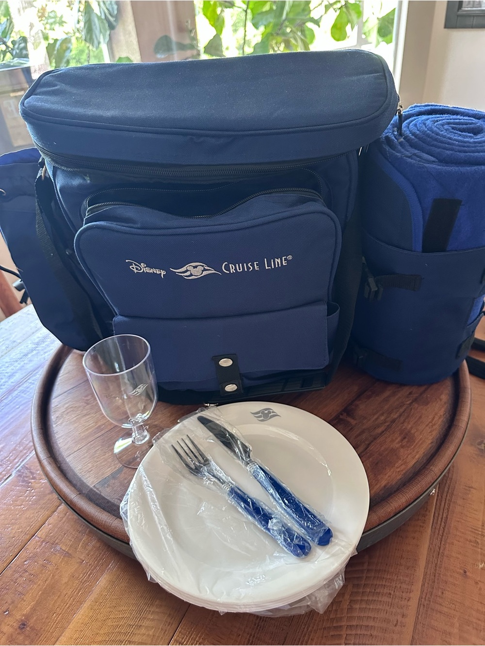 Blue Insulated Cooler Bag